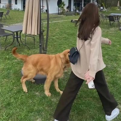 悬河杀机